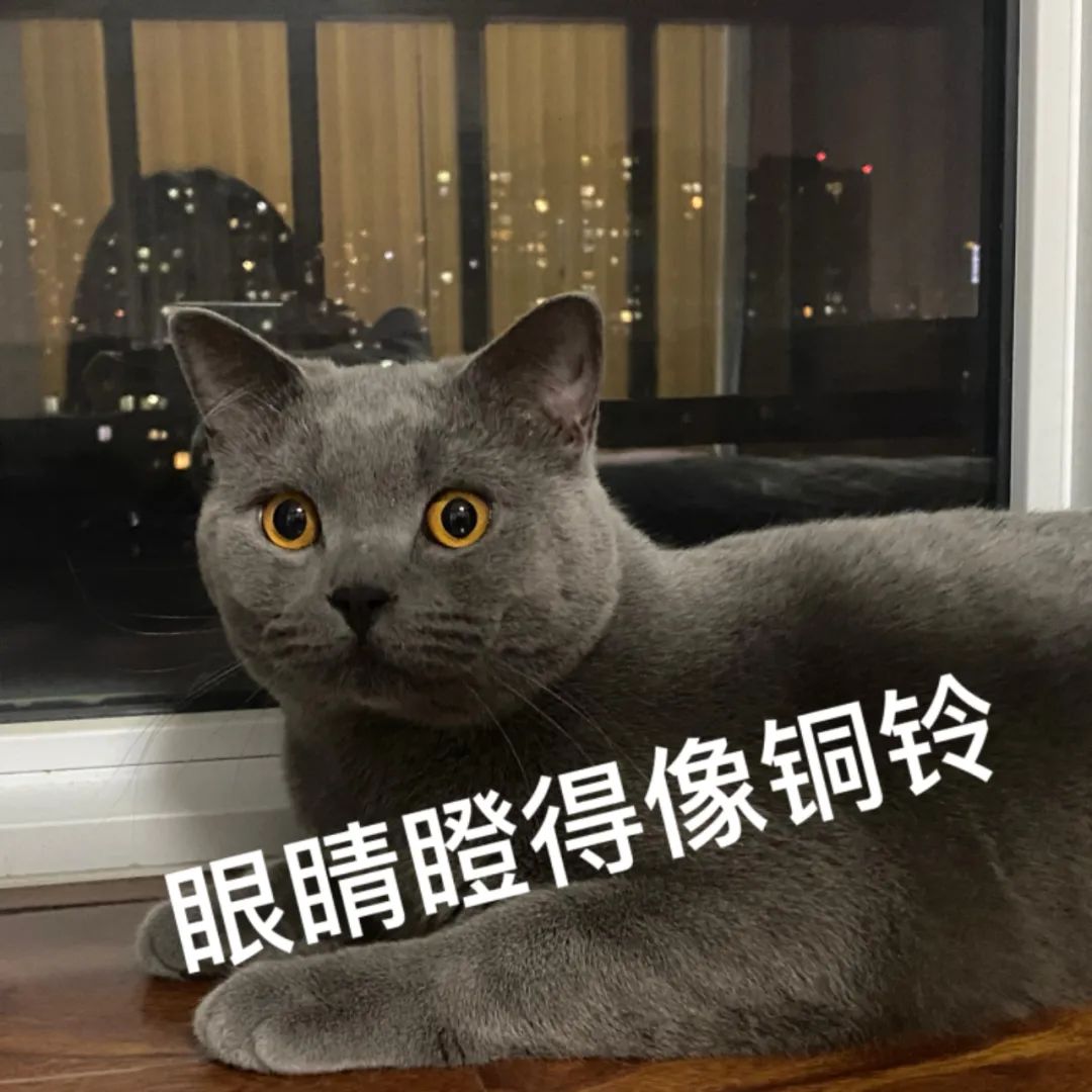 DƬ